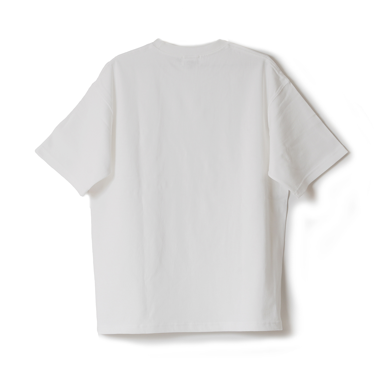 STANDARD plus+ / HEAVY WEIGHT T-shirt / 無地BIG-T / WHITE