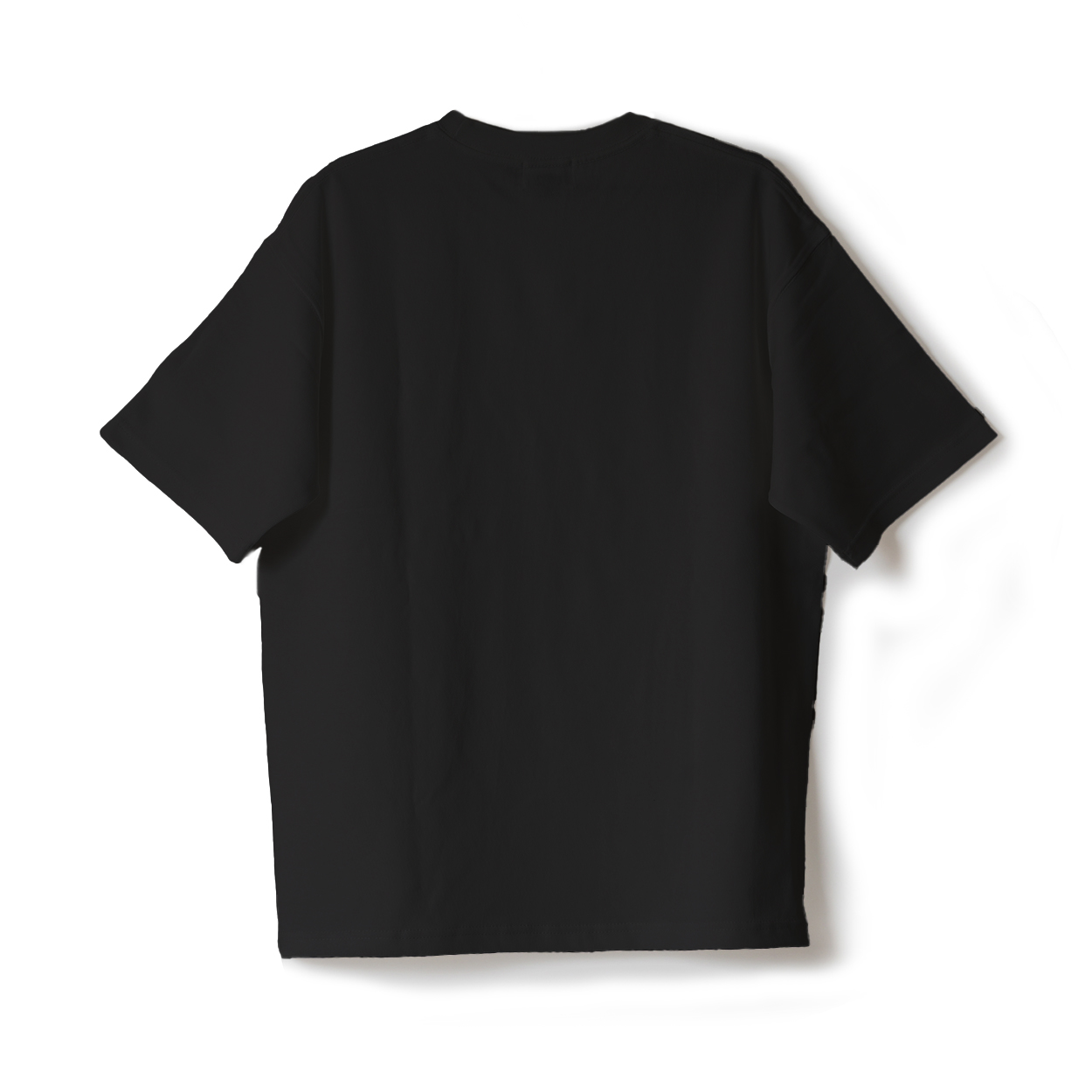 STANDARD plus+ / HEAVY WEIGHT T-shirt / 無地BIG-T / BLACK