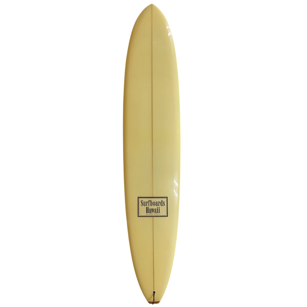 SURFBOARDS HAWAII / Shaped by MIKE DIFFENDERFER  9`1